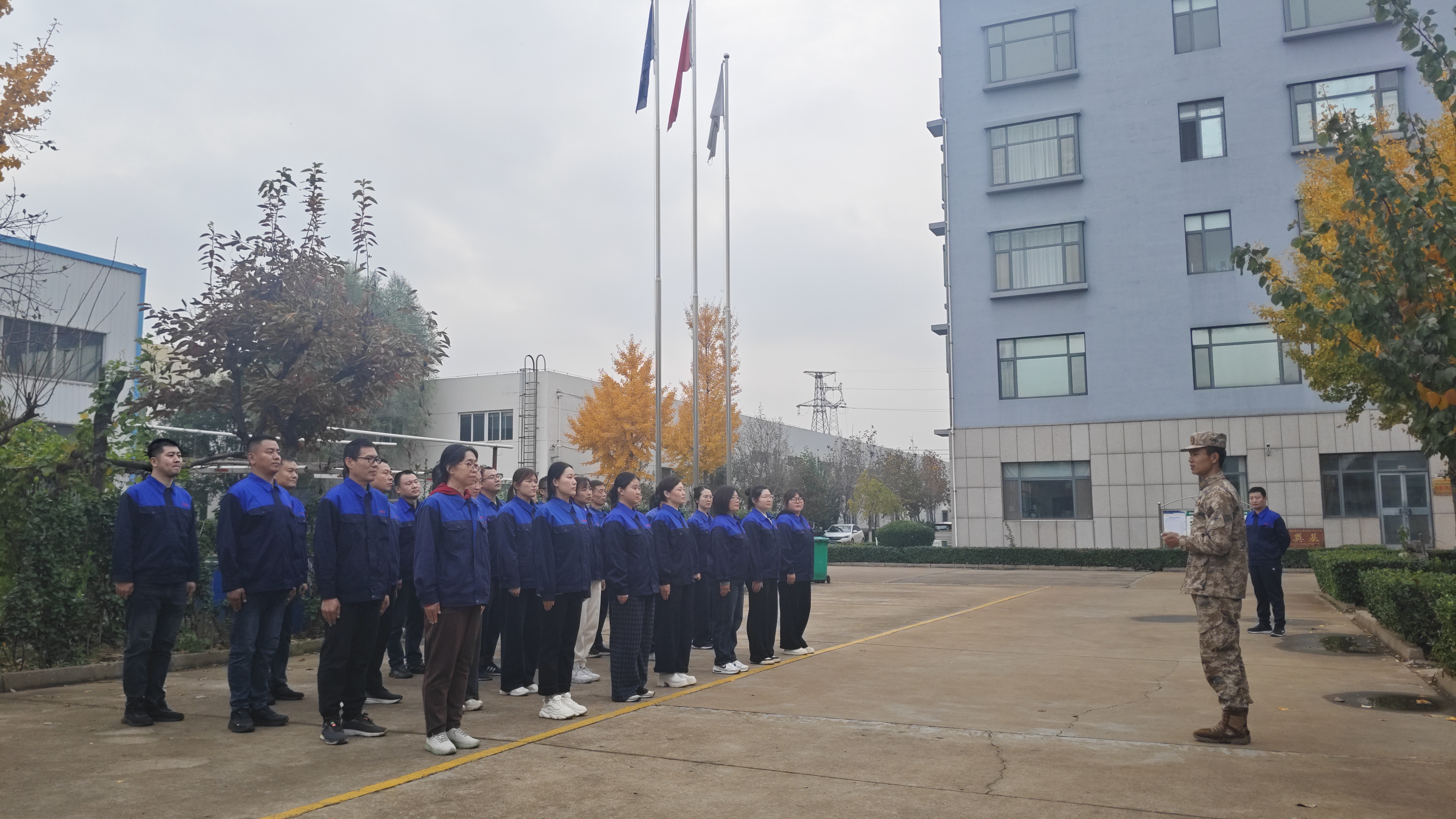 IMG_20251108_155329.jpg IMG_20251108_155329.jpg