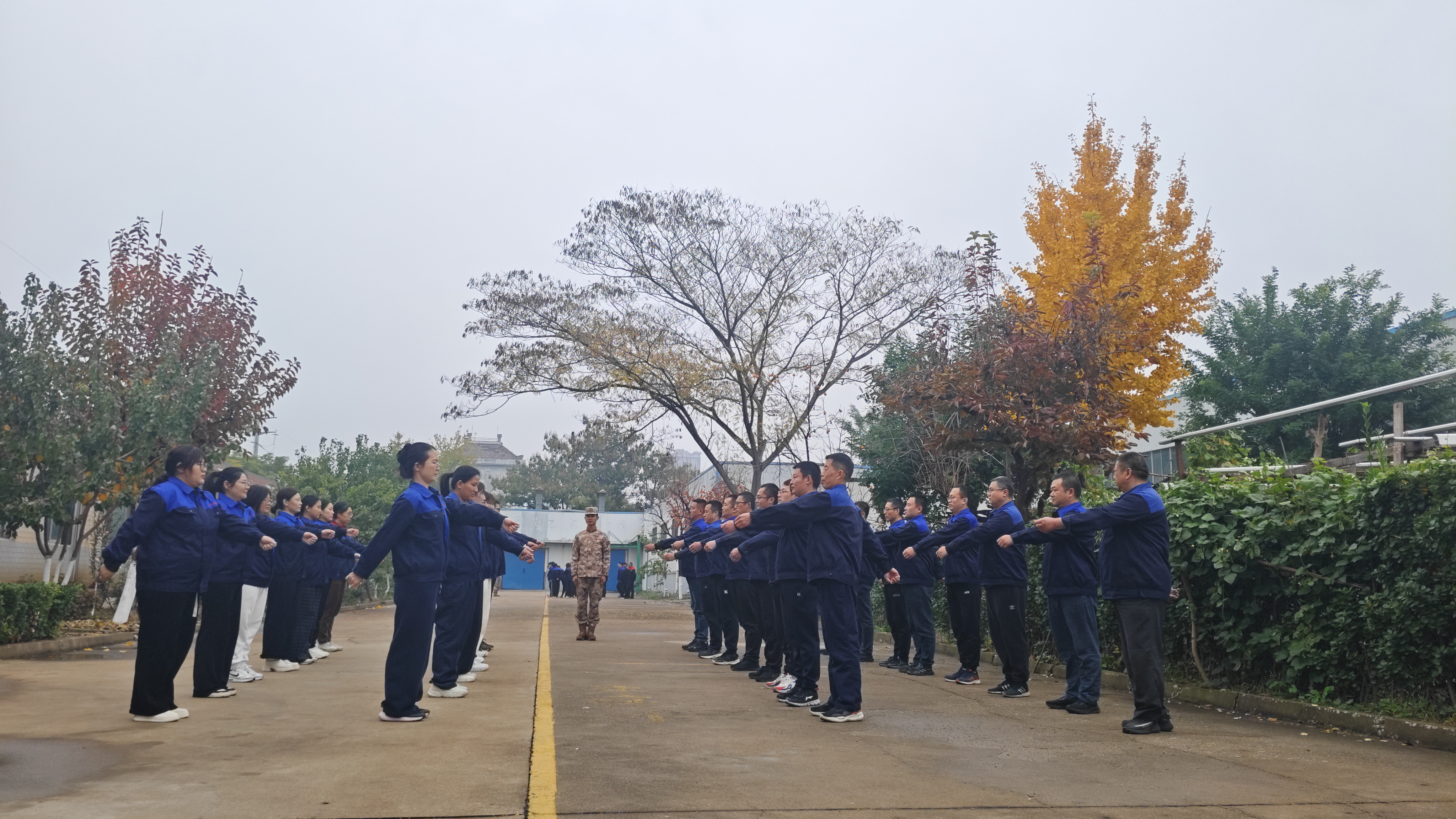 IMG_20251108_090920.jpg IMG_20251108_090920.jpg