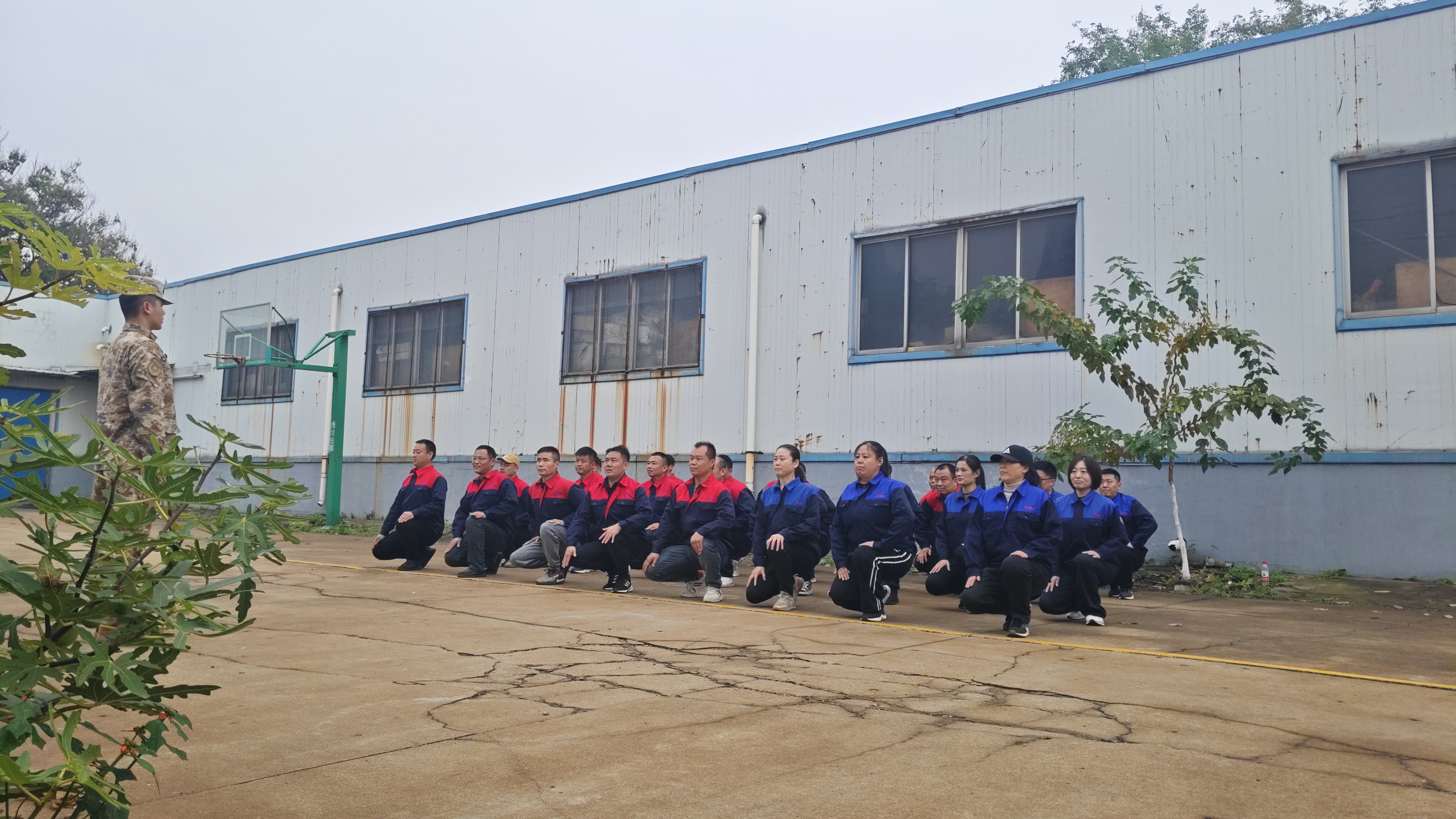 IMG_20251108_094450.jpg IMG_20251108_094450.jpg